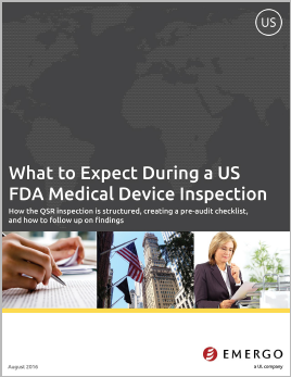 Download white paper - What to Expect During USA QSR Inspections